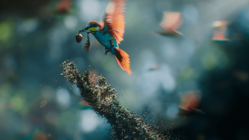 rogerWorlds_1421467_Worlds_3Mins56Secs06Frames_MainFilm16X94K3840X2160Clean_1_6