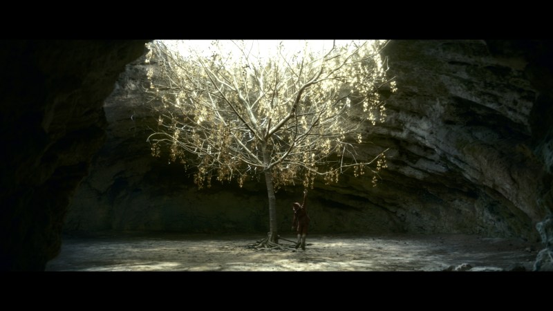 031_fod_0020_still_v01 (1)