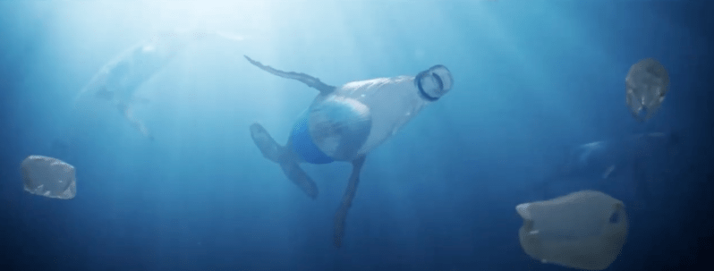 Screen Shot 2020-07-21 at 11.13.33 pm